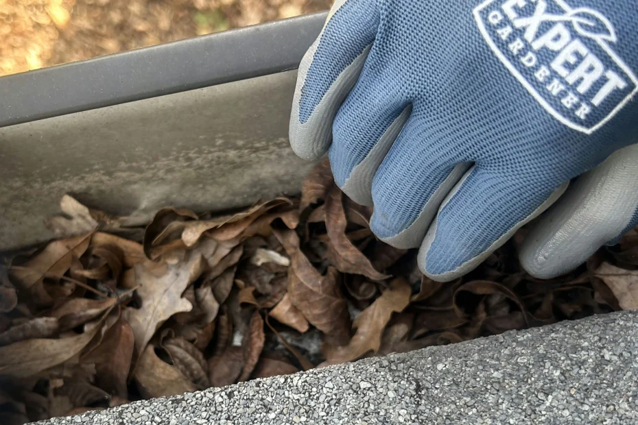 Gutter Cleaning Lincolnville