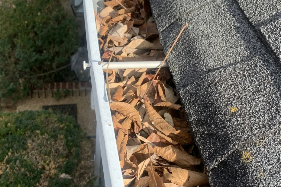 Gutter Cleaning Lincolnville