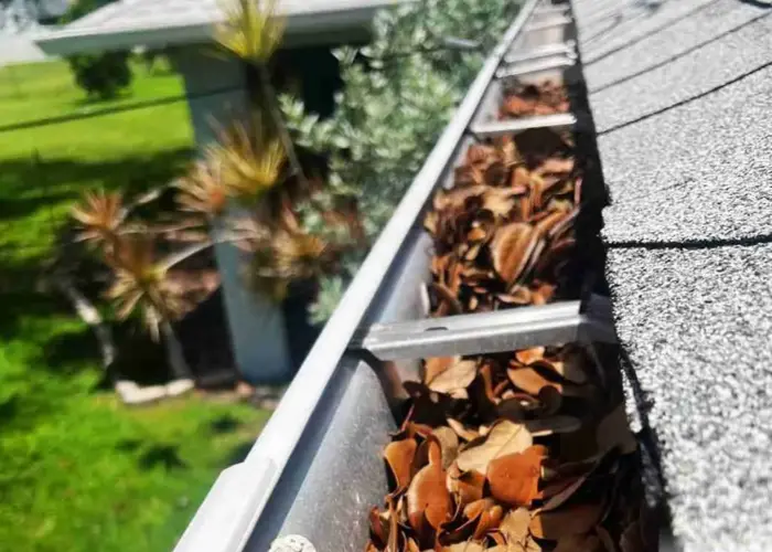 Gutter Cleaning Lincolnville home page